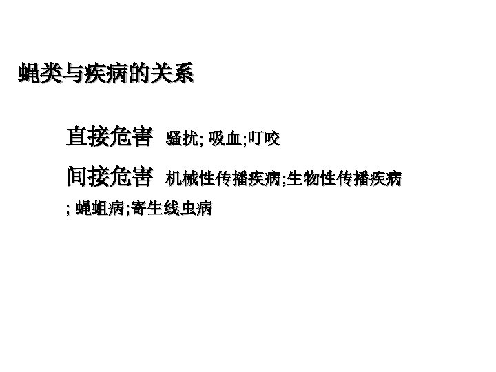 蝇类与疾病的关系 直接危害 骚扰; 吸血; 叮咬 间接危害 机械性传播疾病; 生物性传播疾病 ; 蝇蛆病; 寄生线虫病 