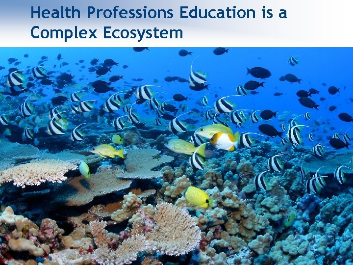 Health Professions Education is a Complex Ecosystem ® 