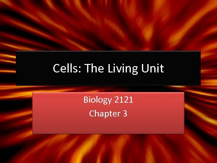 Cells: The Living Unit Biology 2121 Chapter 3 