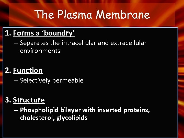 The Plasma Membrane 1. Forms a ‘boundry’ – Separates the intracellular and extracellular environments