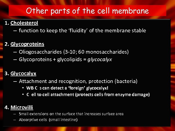 Other parts of the cell membrane 1. Cholesterol – function to keep the ‘fluidity’