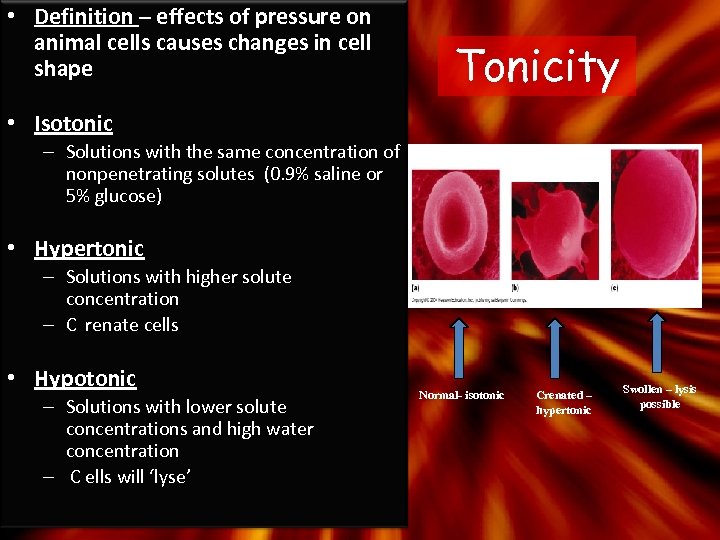  • Definition – effects of pressure on animal cells causes changes in cell