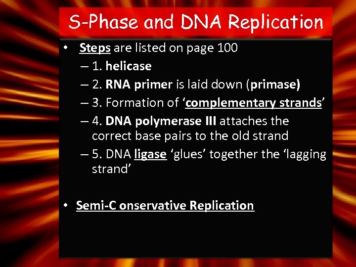 S-Phase and DNA Replication • Steps are listed on page 100 – 1. helicase