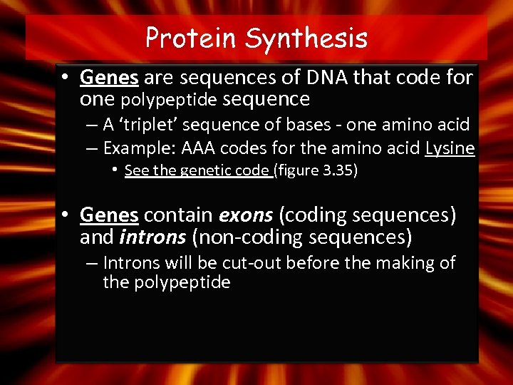 Protein Synthesis • Genes are sequences of DNA that code for one polypeptide sequence