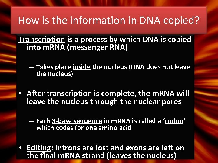 How is the information in DNA copied? Transcription is a process by which DNA