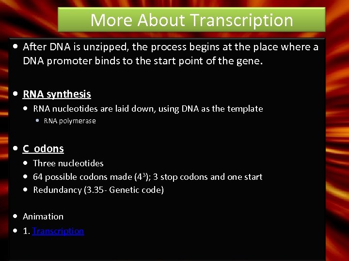 More About Transcription After DNA is unzipped, the process begins at the place where