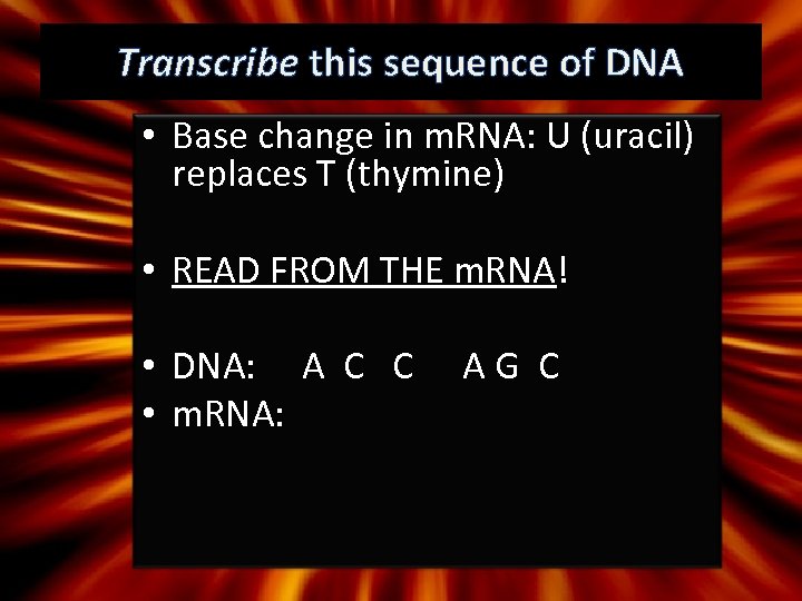 Transcribe this sequence of DNA • Base change in m. RNA: U (uracil) replaces