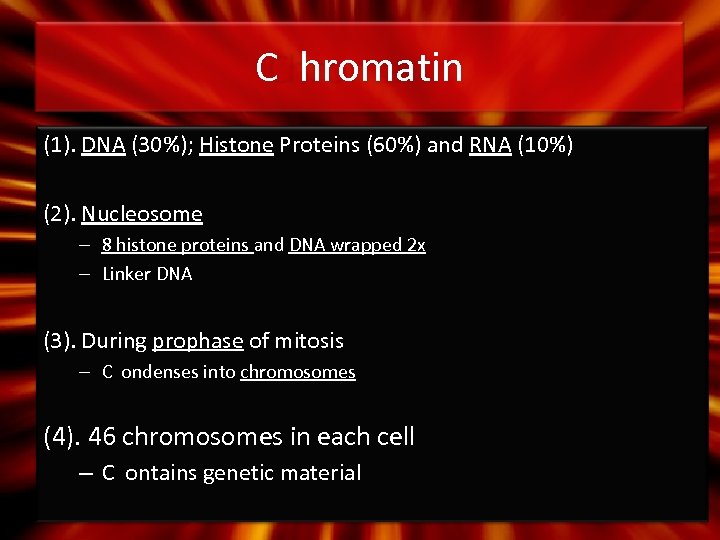 C hromatin (1). DNA (30%); Histone Proteins (60%) and RNA (10%) (2). Nucleosome –