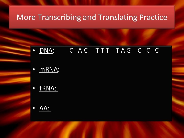 More Transcribing and Translating Practice • DNA: • m. RNA: • t. RNA: •