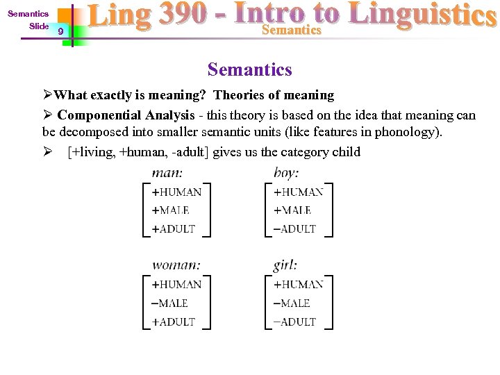 Semantics Slide 9 Semantics ØWhat exactly is meaning? Theories of meaning Ø Componential Analysis