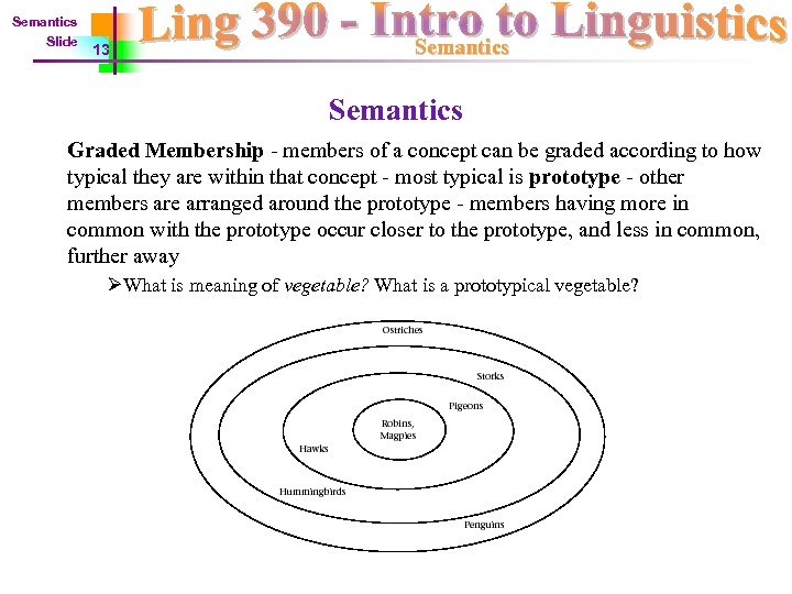 Semantics Slide 13 Semantics Graded Membership - members of a concept can be graded