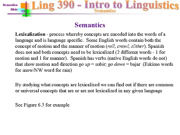 Semantics Slide 15 Semantics Lexicalization - process whereby concepts are encoded into the words