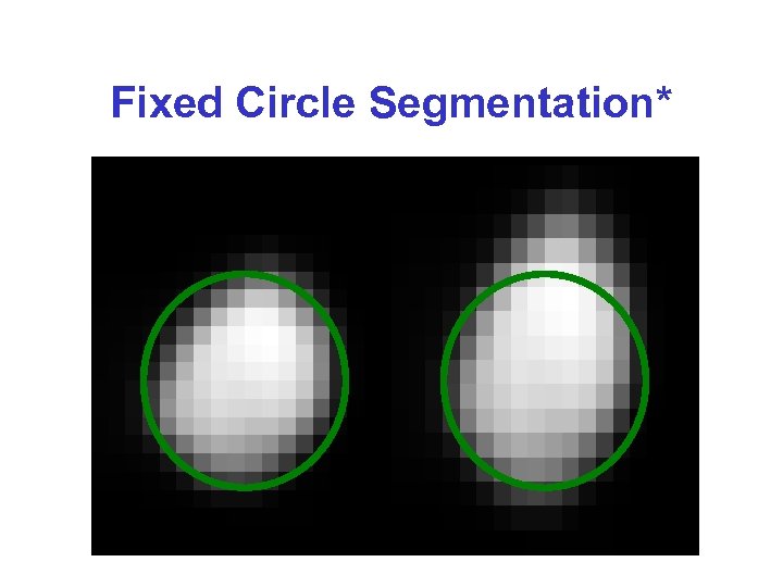 Fixed Circle Segmentation* 