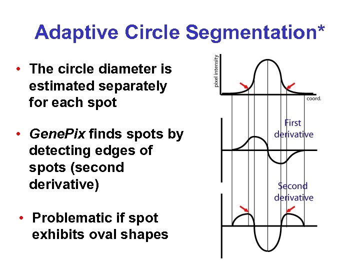Adaptive Circle Segmentation* • The circle diameter is estimated separately for each spot •