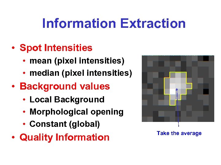 Information Extraction • Spot Intensities • mean (pixel intensities) • median (pixel intensities) •