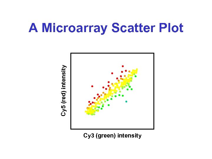 Cy 5 (red) intensity A Microarray Scatter Plot Cy 3 (green) intensity 