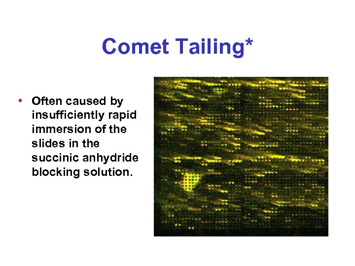 Comet Tailing* • Often caused by insufficiently rapid immersion of the slides in the