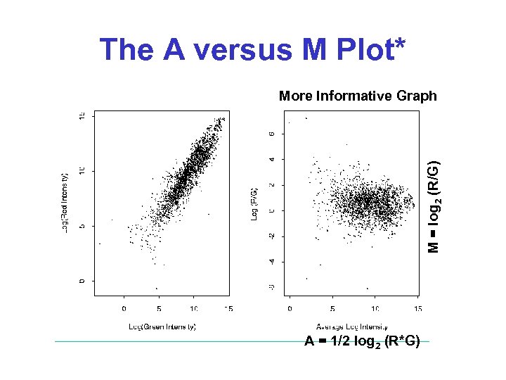 The A versus M Plot* M = log 2 (R/G) More Informative Graph A