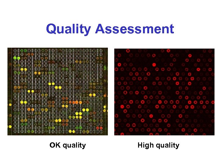 Quality Assessment OK quality High quality 