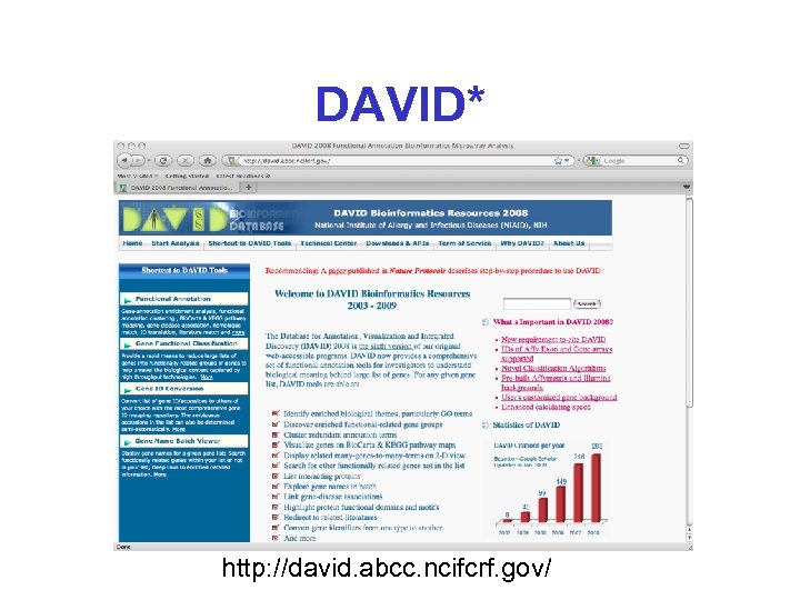 DAVID* http: //david. abcc. ncifcrf. gov/ 