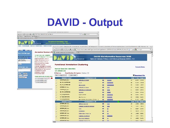DAVID - Output 