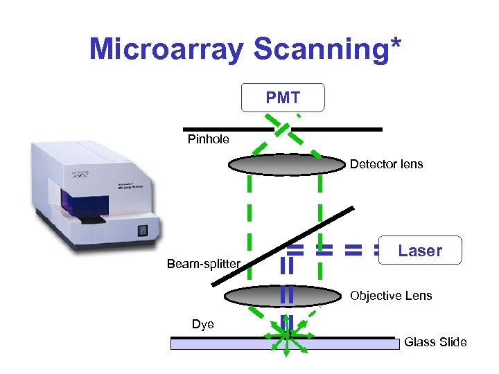 Microarray Scanning* PMT Pinhole Detector lens Beam-splitter Laser Objective Lens Dye Glass Slide 