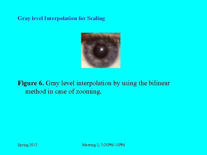 Gray level Interpolation for Scaling Figure 6. Gray level interpolation by using the bilinear
