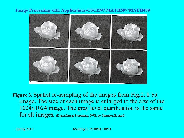 Image Processing with Applications-CSCI 597/MATH 489 Figure 3. Spatial re-sampling of the images from