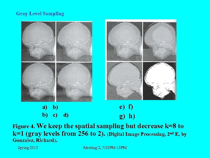 Gray Level Sampling e) f) g) h) Figure 4. We keep the spatial sampling