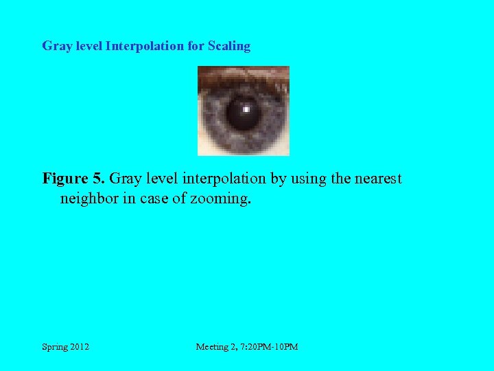 Gray level Interpolation for Scaling Figure 5. Gray level interpolation by using the nearest