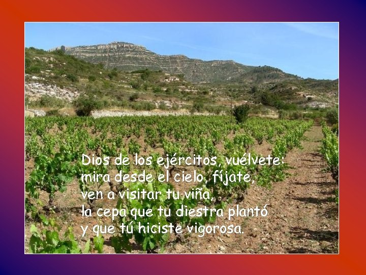 Dios de los ejércitos, vuélvete: mira desde el cielo, fíjate, ven a visitar tu