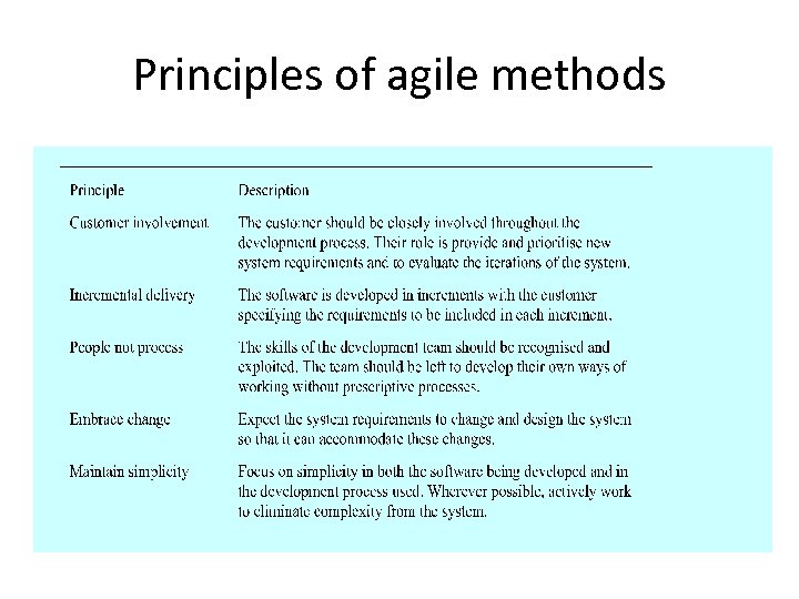 Principles of agile methods 