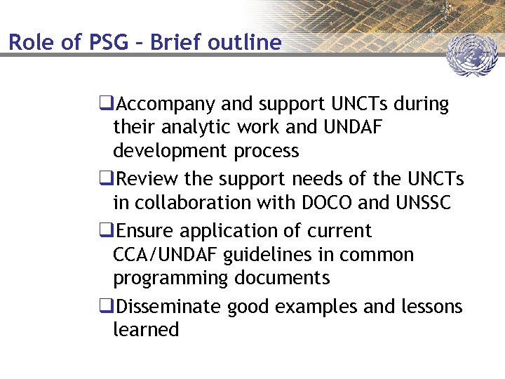 Role of PSG – Brief outline q. Accompany and support UNCTs during their analytic