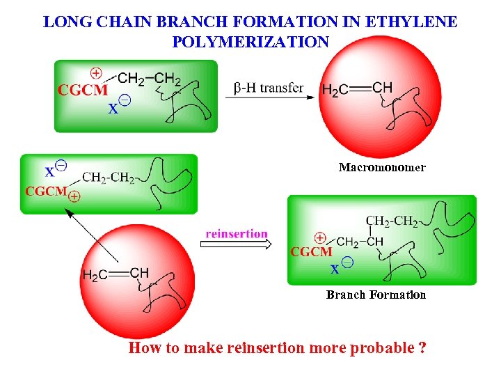 LONG CHAIN BRANCH FORMATION IN ETHYLENE POLYMERIZATION Macromonomer Branch Formation How to make reinsertion