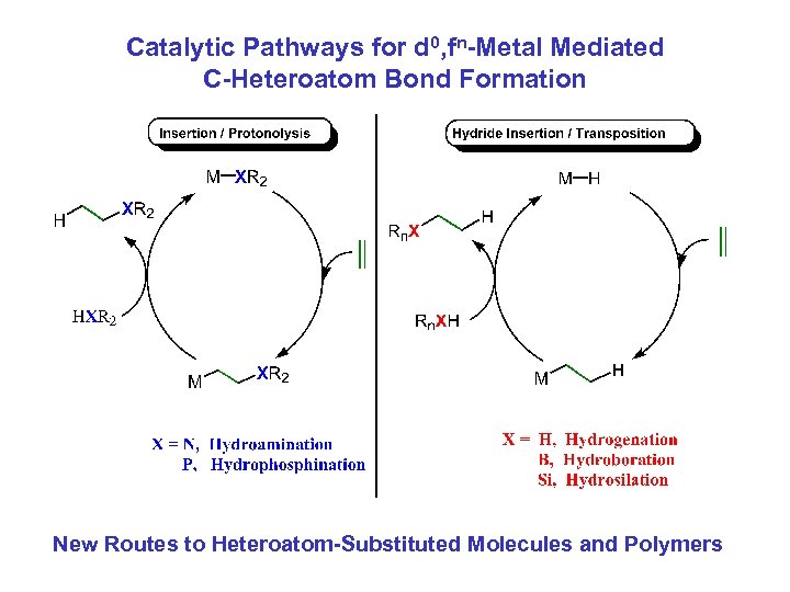 Catalytic Pathways for d 0, fn-Metal Mediated C-Heteroatom Bond Formation New Routes to Heteroatom-Substituted
