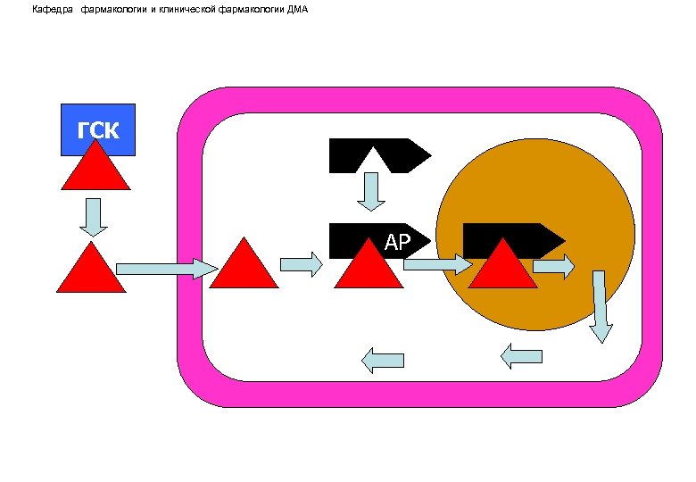 Кафедра фармакологии и клинической фармакологии ДМА ГСК АР 