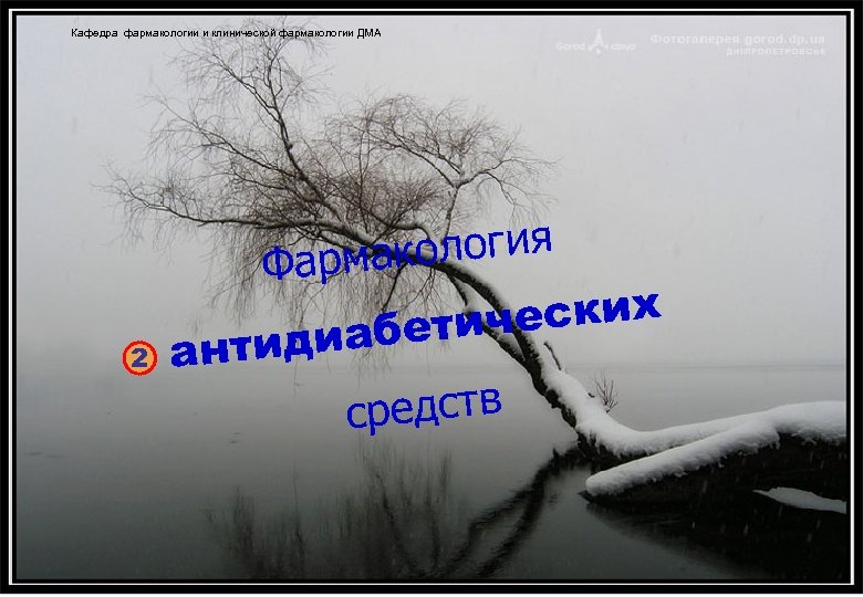 Кафедра фармакологии и клинической фармакологии ДМА 2 ология Фармак ческих иабети антид редств с