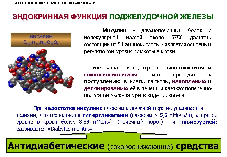 Кафедра фармакологии и клинической фармакологии ДМА ЭНДОКРИННАЯ ФУНКЦИЯ ПОДЖЕЛУДОЧНОЙ ЖЕЛЕЗЫ ИНСУЛИН С 254 Н