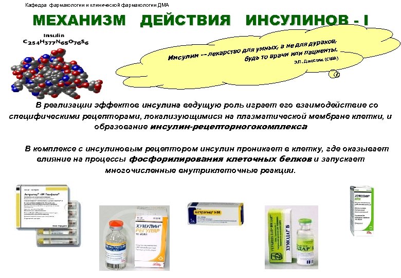 Кафедра фармакологии и клинической фармакологии ДМА МЕХАНИЗМ ДЕЙСТВИЯ ИНСУЛИНОВ - I дураков, х, а