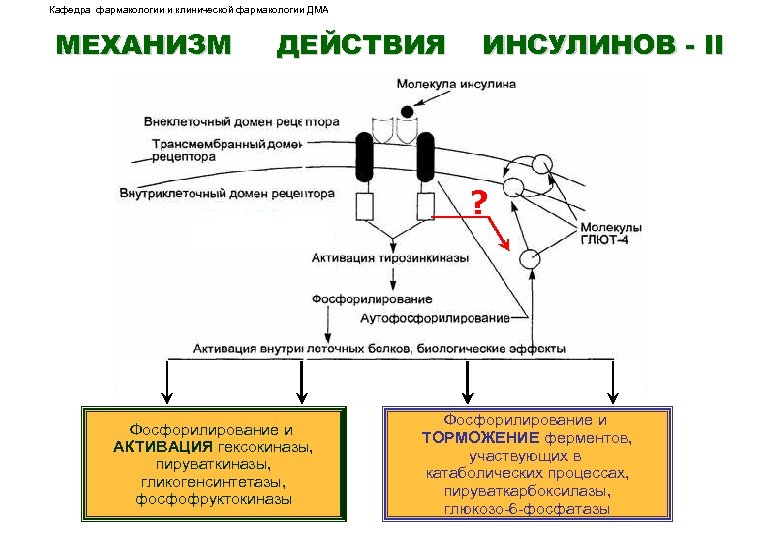 Фолфокс химиотерапия схема