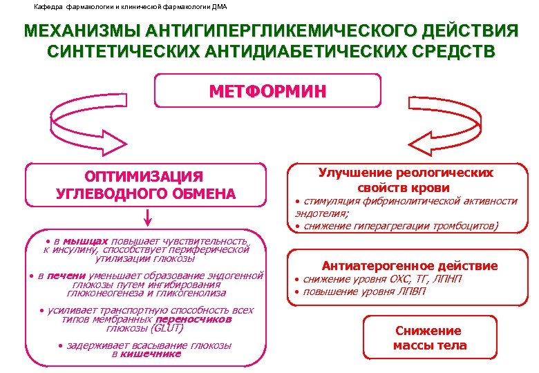 Кафедра фармакологии и клинической фармакологии ДМА МЕХАНИЗМЫ АНТИГИПЕРГЛИКЕМИЧЕСКОГО ДЕЙСТВИЯ СИНТЕТИЧЕСКИХ АНТИДИАБЕТИЧЕСКИХ СРЕДСТВ МЕТФОРМИН ОПТИМИЗАЦИЯ