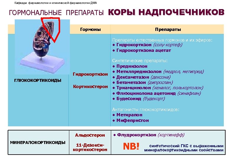 Гормональный кюретаж дюфастоном схема