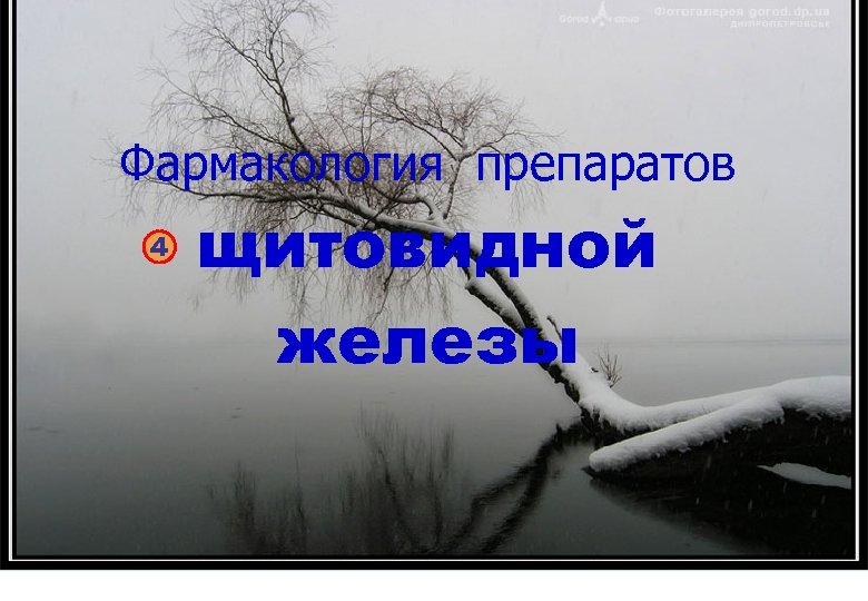 Фармакология препаратов 4 щитовидной железы 