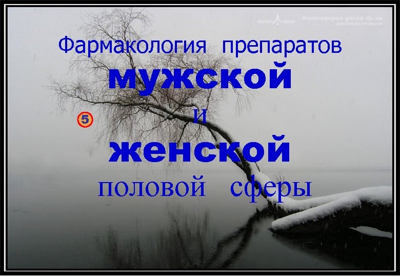 Фармакология препаратов мужской 5 и женской половой сферы 