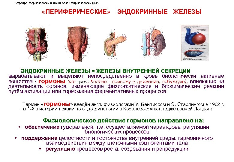 Кафедра фармакологии и клинической фармакологии ДМА «ПЕРИФЕРИЧЕСКИЕ» ЭНДОКРИННЫЕ ЖЕЛЕЗЫ = ЖЕЛЕЗЫ ВНУТРЕННЕЙ СЕКРЕЦИИ вырабатывают