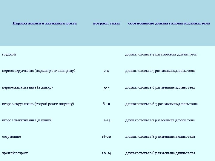 Период жизни и активного роста грудной возраст, годы соотношение длины головы и длины тела