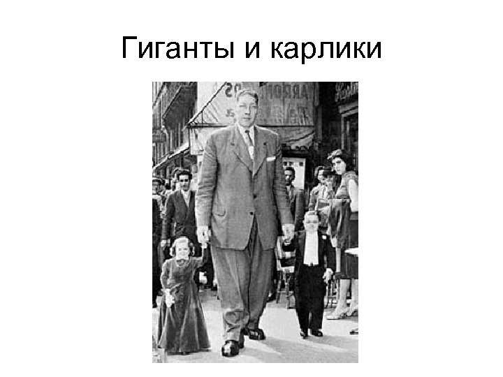Гиганты и карлики 