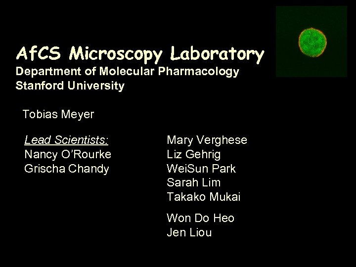 Af. CS Microscopy Laboratory Department of Molecular Pharmacology Stanford University Tobias Meyer Lead Scientists: