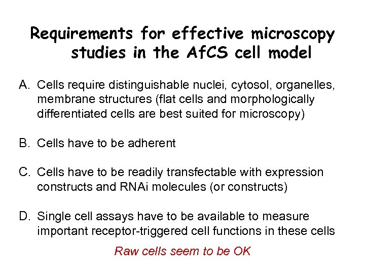 Requirements for effective microscopy studies in the Af. CS cell model A. Cells require