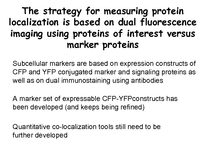 The strategy for measuring protein localization is based on dual fluorescence imaging using proteins